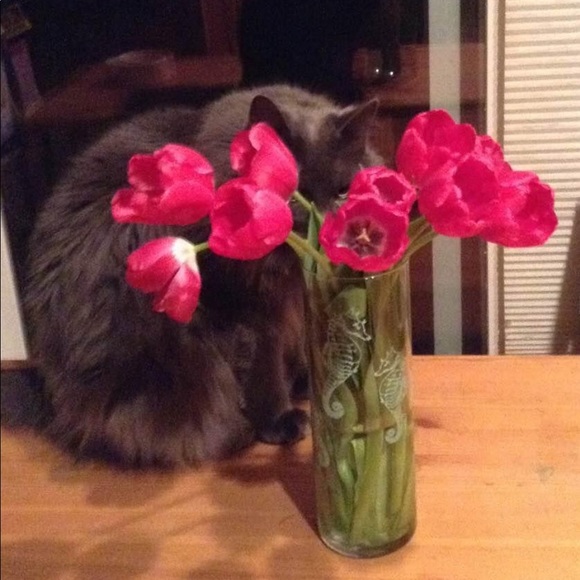 POSH AMBASSADOR 2 & suggested user.. 😊 - Picture 9 of 17